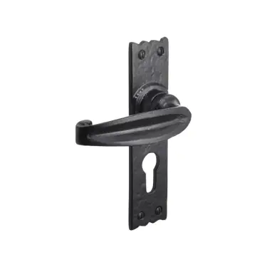 Click Here To Enlarge This Photo Of BR4007 - Spira Brass Charlbury Euro Profile Lever Handles on Backplate - Black Antique