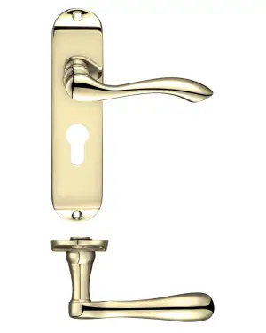 Click Here To Enlarge This Photo Of PR031EPEB - Zoo Hardware Project Arundel Lever on Europrofile Lock Backplate (180mm x 40mm) Electro Brass