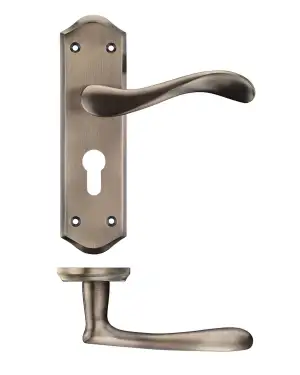 Click Here To Enlarge This Photo Of PR061EPFB - Zoo Hardware Project Asti Lever on Europrofile Lock Backplate (180mm x 50mm) Florentine Bronze