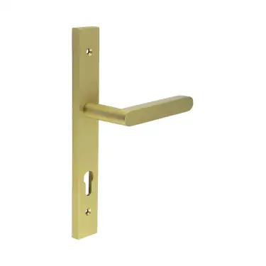 Click Here To Enlarge This Photo Of CR-101G4SB Frelan Hardware CRES 92mm Multi Point Backplate Door Handle (215mm c/c) Satin Brass (SS316)
