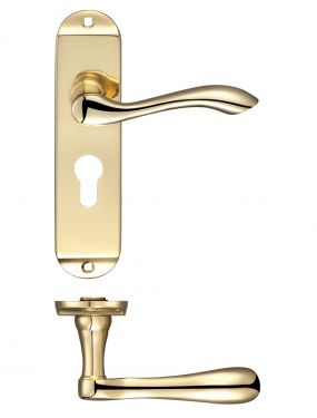 Click Here To Enlarge This Photo Of FB021EP - Zoo Hardware Fulton & Bray 'Arundel' Lever Euro Profile Lock (47.5mm c/c) Handles on Short Backplate (175 x 42mm) Polished Brass