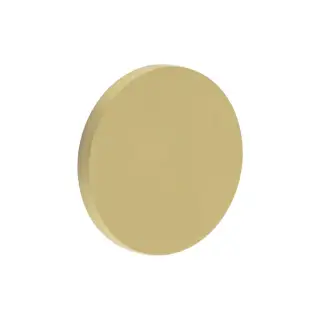 CR-N10SB Frelan Hardware CRES Blank (Round Rose) Escutcheon Cover Satin Brass (SS316)