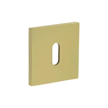 Click Here To Enlarge This Photo Of CR-T10SB Frelan Hardware CRES Standard Keyway (Square Rose) Escutcheon Satin Brass (SS316)