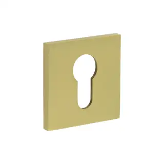 CR-U10SB Frelan Hardware CRES Euro Keyway (Square Rose) Escutcheon Satin Brass (SS316)
