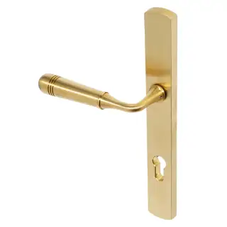 BLU Performance Opera  Multipoint Door Lock Handle, Dual Sprung, 316 Grade Stainless Steel, PVD Satin Brass Finish (TBH092-PSB)