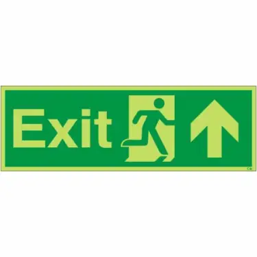 Click Here To Enlarge This Photo Of Photoluminescent (Glow in the Dark) Rigid Plastic (Class C) Exit Arrow Up Sign