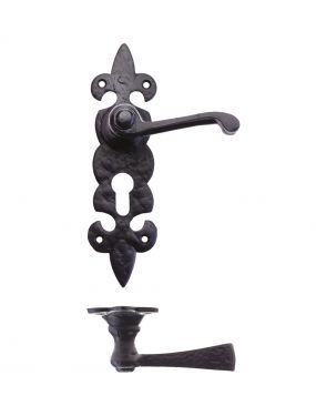 Click Here To Enlarge This Photo Of FF611EP - Zoo Hardware Foxcote Foundries Lever on Fleur de Lys Euro Profile Backplate (200 x 50mm) Black Antique