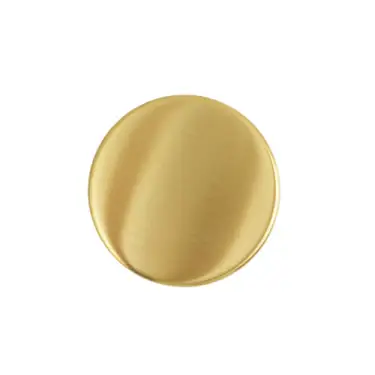 Click Here To Enlarge This Photo Of ZCS2000G3PVDSB Zoo Hardware Blank Escutcheon - 52mm x 8mm &lpar;Grade 201&rpar; PVD Satin Brass