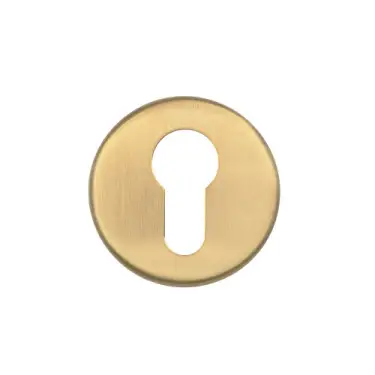 Click Here To Enlarge This Photo Of ZCS2001G3PVDSB Zoo Hardware Euro Profile Escutcheon - 52mm x 8mm &lpar;Grade 201&rpar; PVD Satin Brass