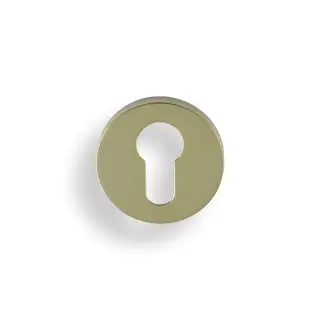 K1101PBPVD Valli Euro Profile Push-on Round Rosette Escutcheon - Polished Brass PVD