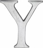C1565 2 Y-SC Heritage Brass Alphabet Y Pin Fix 51mm (2") Satin Chrome Finish